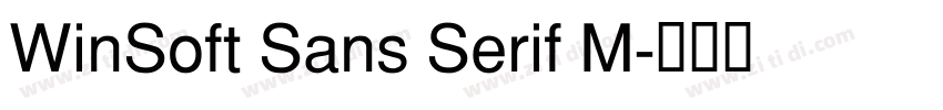 WinSoft Sans Serif M字体转换